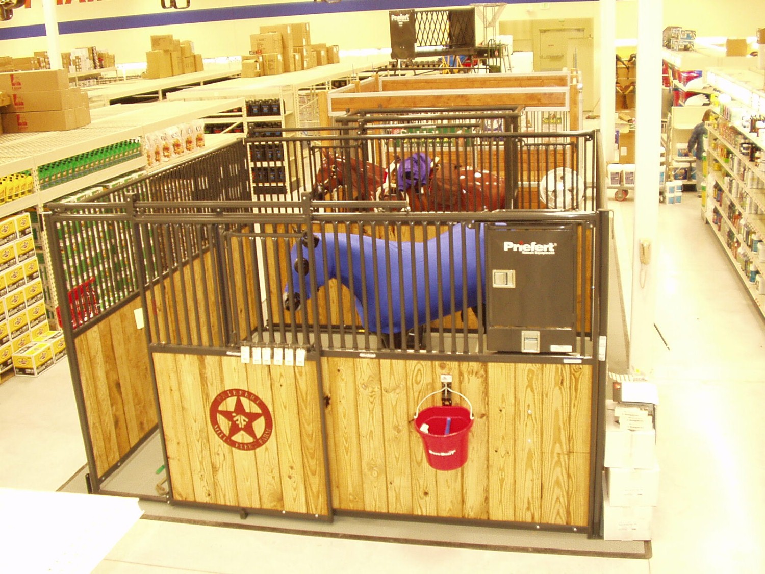 Indoor Stall Display 1.jpg
